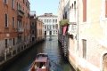 quack_04-30