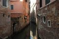 quack_04-31