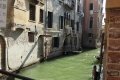 quack_04-38