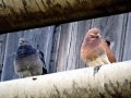 DSC05588.JPG
