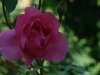 dsc04413s