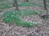 dsc08886