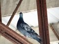 DSC00758
