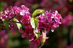 DSC00152