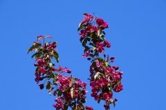 DSC00197
