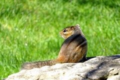 DSC00204