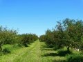 DSC07051