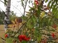 20160825_142855