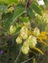 20160825_143311