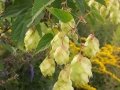 20160825_143311