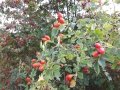 20160825_143436