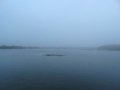 DSC01352