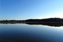 DSC03203