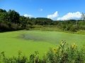 DSC00056