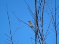DSC00072