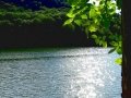 DSC00093