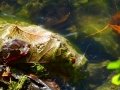 DSC00097