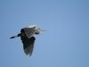 img_5843s