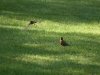img_5862s