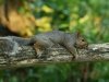 img_6540s