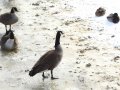 dsc01999