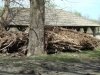 dsc09197