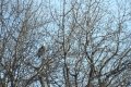 DSCN9209