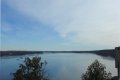 DSCN9241