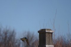 DSC06638