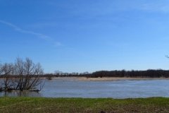 DSC06708