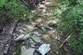 DSCN8051
