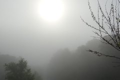 DSC08072