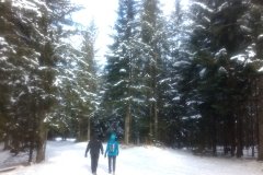 IMG_20160119_105447