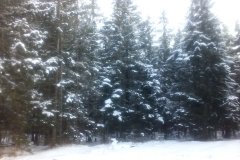 IMG_20160119_105454