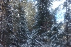 IMG_20160119_111446