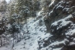 IMG_20160119_111630