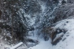 IMG_20160119_112331