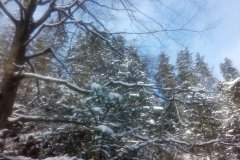 IMG_20160119_112341
