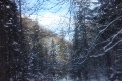 IMG_20160119_113701