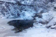 IMG_20160119_114159