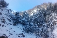 IMG_20160119_115328