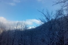 IMG_20160119_125306