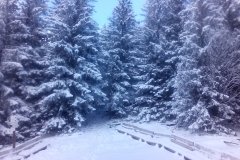 IMG_20160119_125655