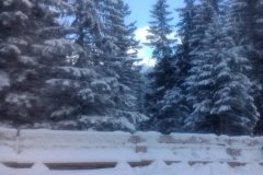 IMG_20160119_130918