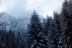 IMG_20160119_134723