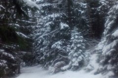 IMG_20160120_124551