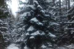 IMG_20160120_124832