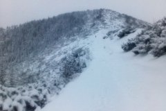 IMG_20160120_133009