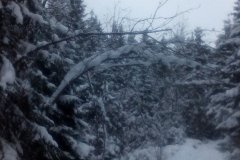 IMG_20160121_132952