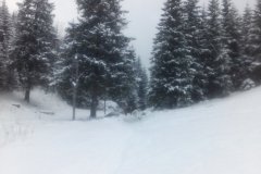 IMG_20160121_135222
